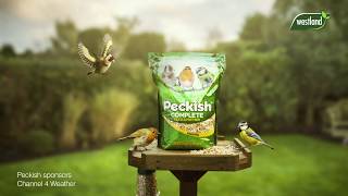 Peckish 2019 TV Sponsorship Channel 4 Weather Showreel [upl. by Darach]