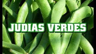 Propiedades de la judias verdes para la salud [upl. by Bartlet]