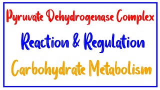 Pyruvate dehydrogenase complex mechanism and Regulation  PDH complex mechanism amp Regulation [upl. by Anastase136]