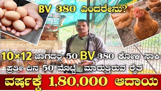 ಮನೆಯ ಹತ್ತಿರ BV 380 ಕೋಳಿ ಸಾಕಾಣಿಕೆBV 380 farming in kannadaBV 380 chicken farmingpoultry farm [upl. by Astrahan]