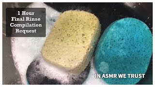 1 Hour Final Rinse Compilation YT amp FB Request  ASMR Sponge Rinsing  Timestamps included [upl. by Adnir]