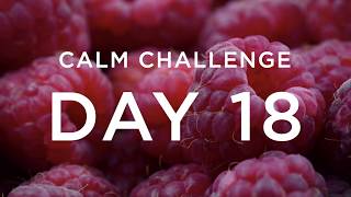 Calm Challenge  Day 18 [upl. by Aitak]