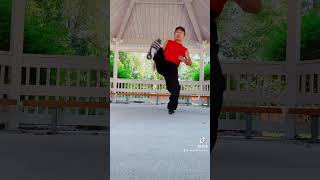 Taekwondo Lesson Speed Kicking 3 Combo’s for Aggressive Fighting Drill 5 Part 38 taekwondolesson [upl. by Schlenger916]