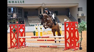 Orgondo KANNANGFE X VDL CORLAND  DSP stallion inspection [upl. by Garrott539]