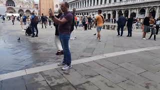 st marks square venice now floods during high tide [upl. by Aeslek852]