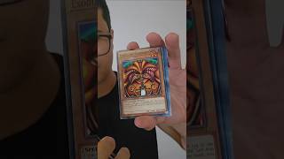 Tudo que eu ganhei no Mundial do YUGIOH em 2024 [upl. by Emmerie]