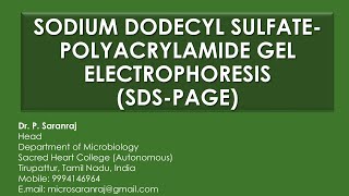 Sodium Dodecyl Sulfate  Polyacrylamide Gel Electrophoresis SDSPAGE [upl. by Esertal]