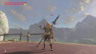 BOTW Clippet  Reddit Archery Challenge [upl. by Eiggam]