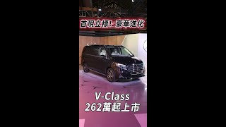 首現立標、豪華進化！MercedesBenz VClass 262萬起上市 [upl. by Proffitt217]