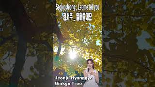 말해줄게요 정서주 전주향교 은행나무 Jeonju Hyanggyo [upl. by Malin]