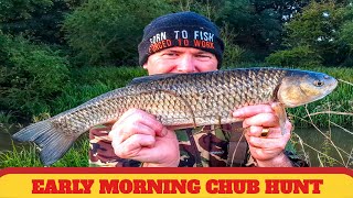 river chub fishing  Coarse fishing uk [upl. by Takara628]