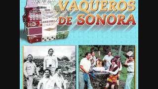 Los Vaqueros de Sonora Mix [upl. by Corri]