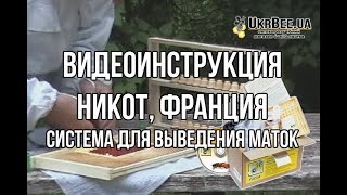 Никот Видеоинструкция система для выведения маток NICOT [upl. by Eimyaj]