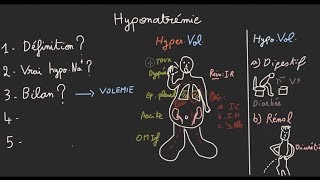 Hyponatrémie en 5 étapes  Docteur Synapse [upl. by Emilie438]