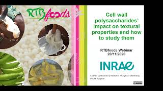 Cell Wall Polysaccharides Impact on Textural Properties amp How to Study Them [upl. by Maillil]