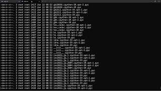 How to use tcpdump [upl. by Ahsiugal]