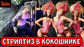 СОЛОВЬИНЫЙ ПОМЕТ№345ПО УСАМ ТЕКЛО СТРИПТИЗ И КОКОШНИК ПОХОРОННАЯ МОДА КВАДРОБЕР ИСПУГАЛ ДЕПУТАТА [upl. by Annoda]