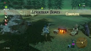 Zelda Breath of the Wild  Leviathan Bones Side Quest  Woodland Tower Region [upl. by Clementas930]