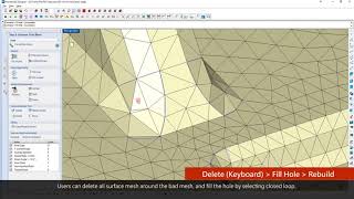 Moldex3D Designer BLM Surface Mesh Fixing [upl. by Bullard]