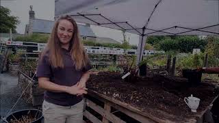 How to plant a Tree Fern [upl. by Nanis589]