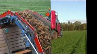 ASALIFT  T255 DF  Carrot harvester [upl. by Assirehs]