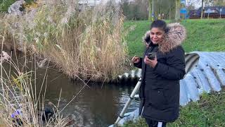 Duiken in Zoetermeer naar Samsung met dierbare fotos [upl. by Anifesoj]