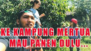 PULANG KE KAMPUNG MERTUA DI UKRAINA MAU PANEN  Vlog [upl. by Ikairik]