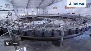 Монтаж и запуск роторного доильного зала DeLaval PR3100HD [upl. by Patti]