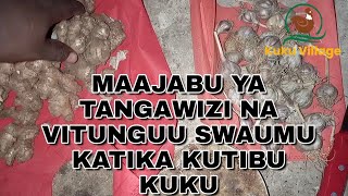 MAAJABU YA TANGAWIZI NA KITUNGUU SWAUMU Katika Kutibu KUKU [upl. by Anitrebla]