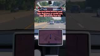 FSD 1252 speed upped Slows on same spot pedal pressed Key Food Test teslafsd fsdbeta fsd [upl. by Odranoel503]