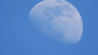 May 29 2023  Daytime Moon 2 of 3 [upl. by Ylatfen787]