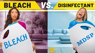 Bleach vs Disinfectant Which is Best for Water Damage [upl. by Lairea]