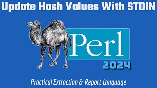 Perl Programming Update Hash Values STDIN 2024 [upl. by Durnan128]