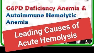 Leading Causes of Pediatric Acute Hemolysis [upl. by Silado89]