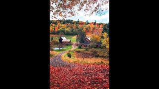 September Secrets in the garden fairyhouse pumpkinseason pumpkin pumpkinhouse inthegarden fall [upl. by Niamert]