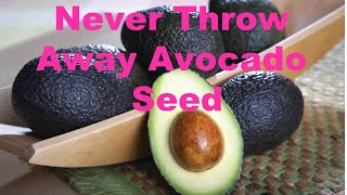 Never Throw Away Avocado Seed  Life Hacks [upl. by Cyrano]