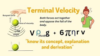 Physics with shamsa is live topic Terminal velocity and fluid flow 1styear [upl. by Magdalene]