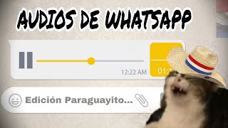 AUDIOS GRACIOSOS DE WHATSAPP 🤣 EDICIÓN PARAGUAYITO 🇵🇾 [upl. by Yhtomit]