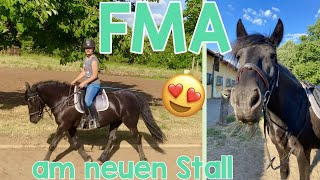 FMA am neuen Stall  Dressurpony  Sättel einfetten  Neuer Stall  Seepferd [upl. by Bowden857]