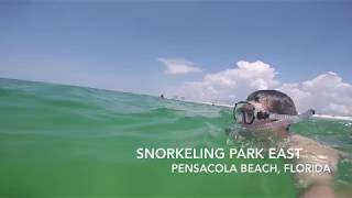 Snorkeling Pensacola Beach  Park East [upl. by Grose]