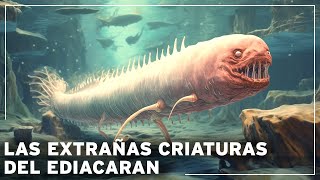 ¡Antes de los dinosaurios los misterios de la era perdida de las criaturas ediacaranas Documental [upl. by Alded]