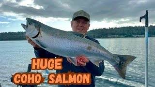 Puget Sound Coho Fishing 2024 [upl. by Asaert61]