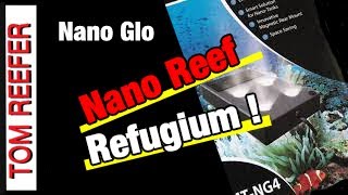 Nano Reef Tank REFUGIUM SET UP 20 Gallon Nano Reef NANO GLOW LIGHT [upl. by Suzi]