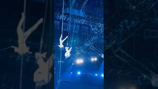 Amazing Aerial Performance Trapeze Artists at the Circus circus circuslife circusextreme [upl. by Mcginnis272]