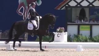 wwwreitschulesandbrinkde DAYTONA PLATINUM Qualifikation Bundeschampionat Hagen Dressage [upl. by Serafina]