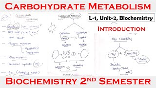 Carbohydrate metabolism  Introduction  L1 U2  biochemistry b pharm 2nd semester  Carewell [upl. by Sirc]