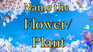 Quiz Time Name the FlowerPlant [upl. by Enneira]