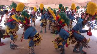 Danza Tipica de Mexico desde Buenavista Tepetongo [upl. by Rosenberger862]