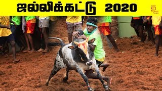 ஜல்லிக்கட்டு 2020  Trichy Manapparai Jallikattu 2020  Jallikattu  Jallikattu Highlights [upl. by Immak298]