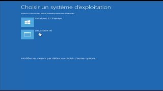 dualboot Windows 8 1 Linux mint 16 petra [upl. by Andersen777]